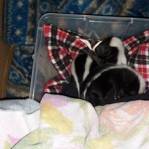 Meet your Posher, Kristie